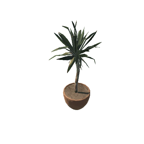 Plant 6